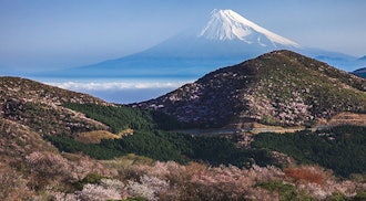 [Image2]Nishitenjo Highlands - A refreshing Highlands with an elevation of 750mThis is a spacious meadow tha