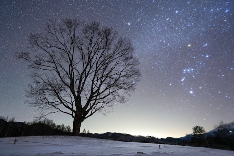 [相片1]獵戶座在冬季夜空中發光