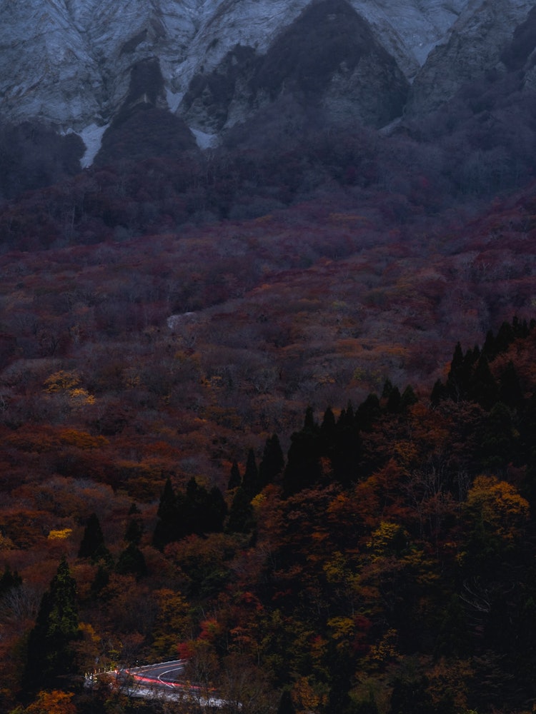 [Image1]late autumnLocation Tottori Kagikake PassThis is a superb view photo of Mt. Autumn Leaves after suns