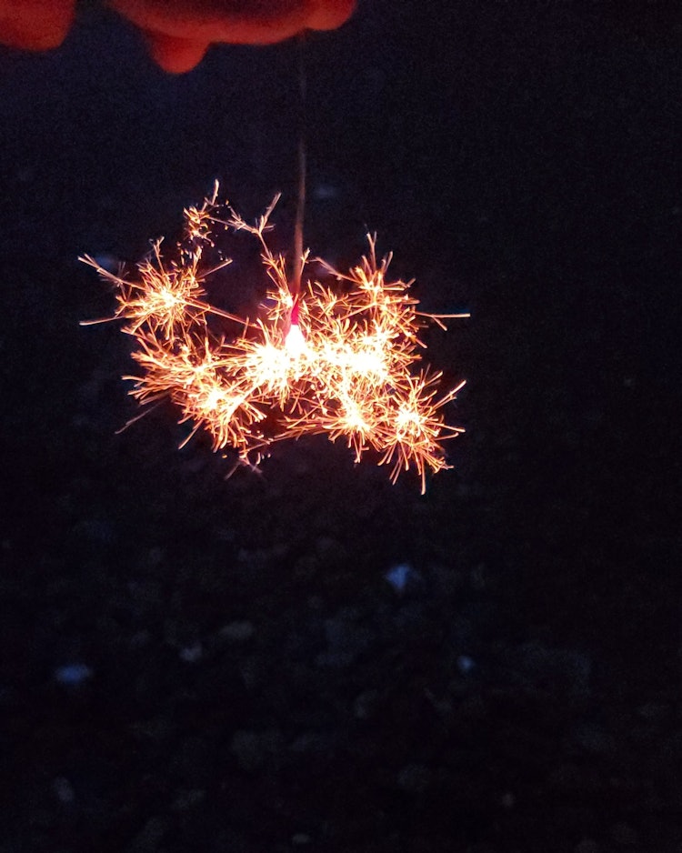 [画像1]自宅の庭先で撮った1枚。8月もあと少し。夏の終わりを線香花火の儚さに例えながら表現しました。