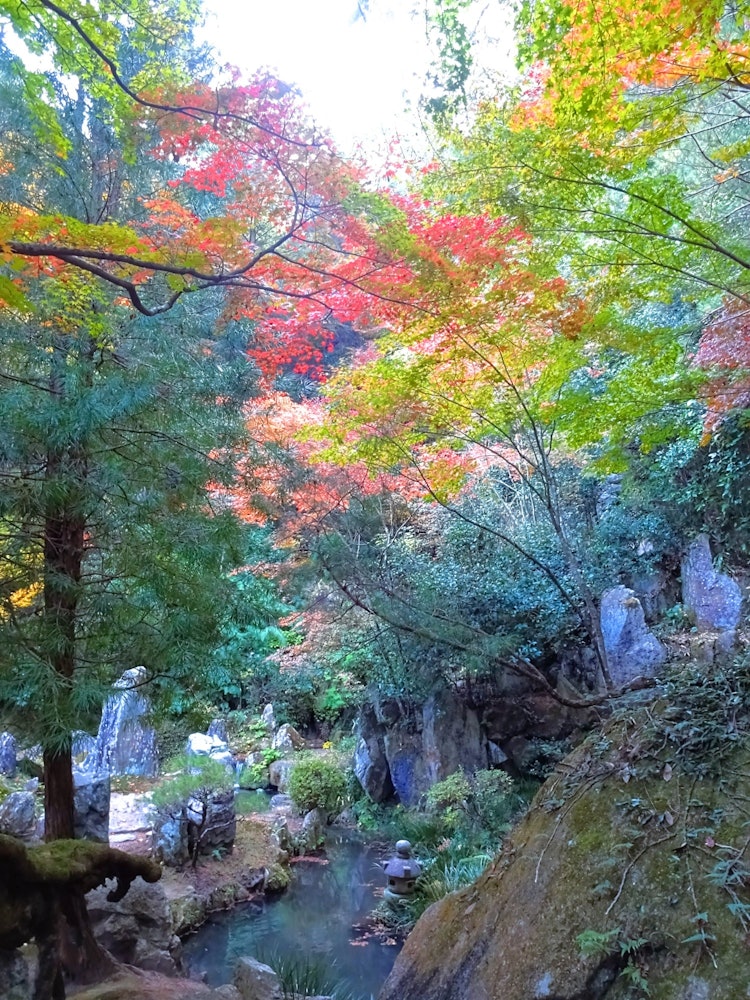 [Image1]Location:Mitaki Temple (Hiroshima)