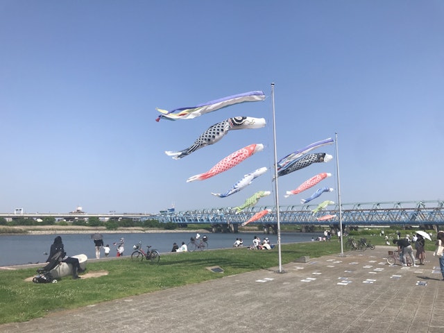 [Image1]Had a nice relaxing golden week and to finish it off I saw some carp streamers billowing in the wind