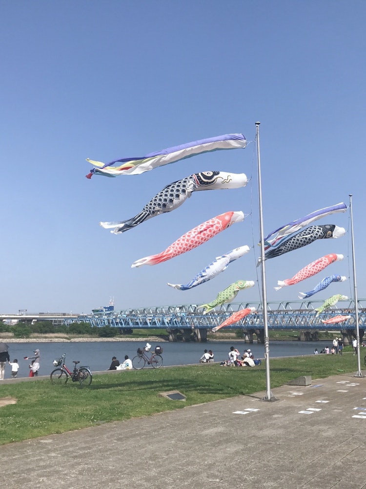 [Image1]Had a nice relaxing golden week and to finish it off I saw some carp streamers billowing in the wind
