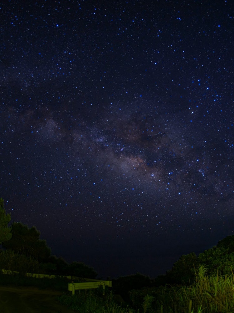 [Image1]I put my camera under the stars and listen to the quiet night.As I listened to the sound of wild boa