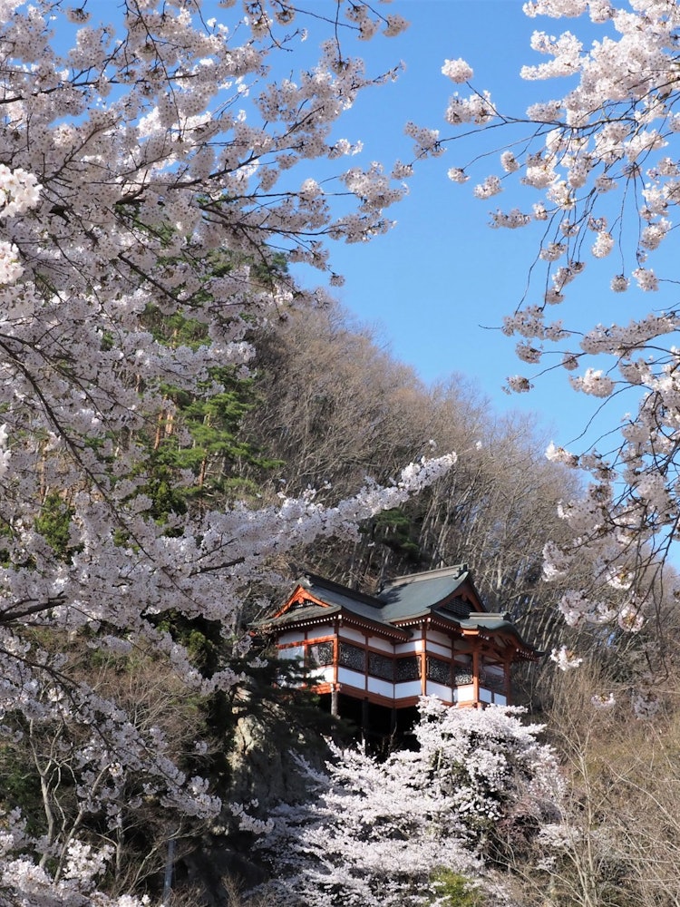 [相片1]山形市的唐松观音堂位于鲜崎川的上游，以日本最好的imoni仪式而闻名。 它由当时的城堡主人松平忠弘王子于 1661 年建造。 据说主像观音是弘法大士的作品，大厅是模仿京都清水寺建造的。 据说这个观音娘