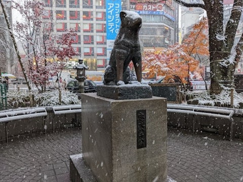 [Image1][English/Japanese]Snow is predicted to fall in Tokyo this week. In Japan, there are many tourist des
