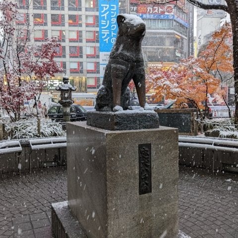 [画像1][English／日本語]Snow is predicted to fall in Tokyo this week. In Japan, there are many tourist destinat