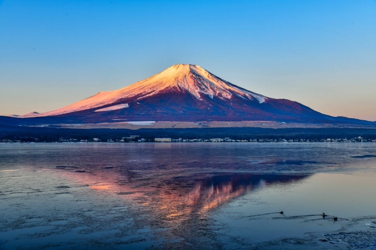 [画像1]山中湖から見る紅富士気温がとても低かったので、この日は少し氷が張りました。この季節しか見れない景色を見れてとても満足しました。