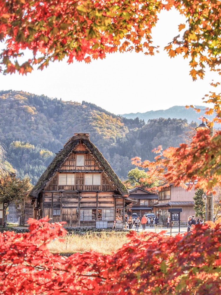 [Image1]Shirakawa-go, GifuI also love 🥰 autumn in Shirakawa-goNo. 1 is winter ☺️ after all