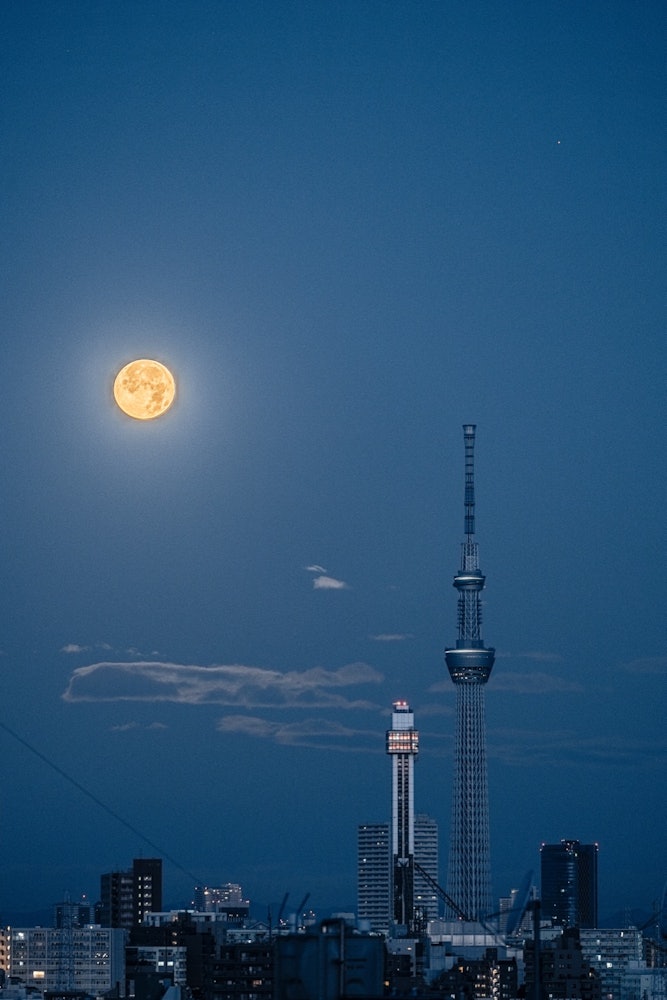 [Image1]【 The setting moon 】
