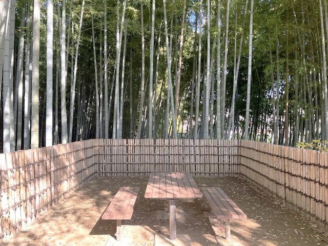 [画像1]東京都東久留米市にある竹林公園の入り口近くにある休憩スペースを撮りました。竹林公園は西武池袋線の東久留米駅から徒歩約10分の場所にある竹林が広がる公園で静かで落ち着きのある場所になっていて日本の和を感