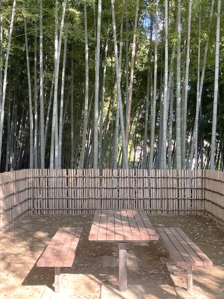 [이미지1]도쿄 히가시쿠루메시에 있는 대나무 숲 공원 입구 부근의 휴게소를 촬영했습니다.대나무의 숲 공원은 세이부 이케부쿠로선 히가시쿠루메역에서 도보 10분 정도 거리에 있는 대나무 숲이 있