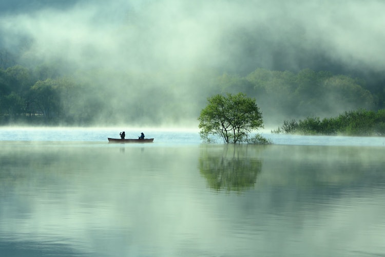 [Image1]It is Lake Shirakawa in Iide Town, Yamagata Prefecture.The early morning submerged forest, canoeing,