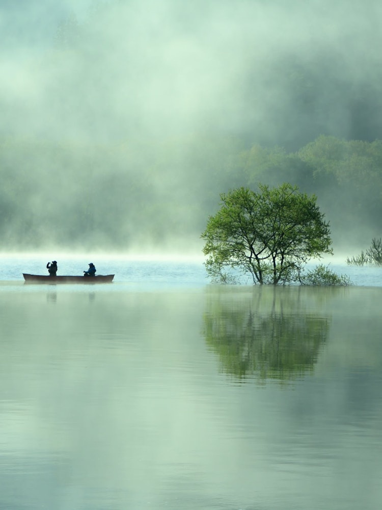 [Image1]It is Lake Shirakawa in Iide Town, Yamagata Prefecture.The early morning submerged forest, canoeing,