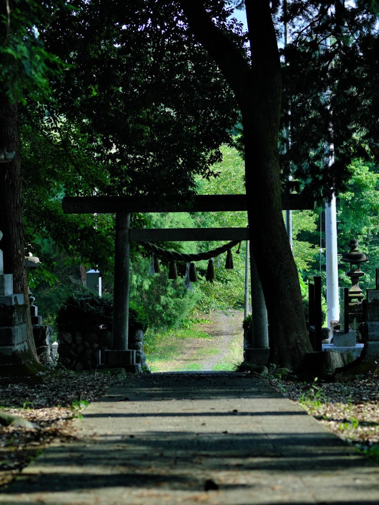 [Image1]Shrine in Yorii Town, Saitama PrefectureI took a picture of a scenery that feels the height of summe