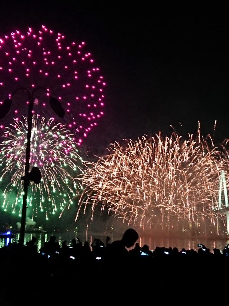 [画像1]夏と言えば花火！コロナになる前の最後の年の富山県 新湊 海王丸パークの花火大会🎆凄い迫力だった！今年はダメになっちゃったからな～来年また観れるといいな～😌