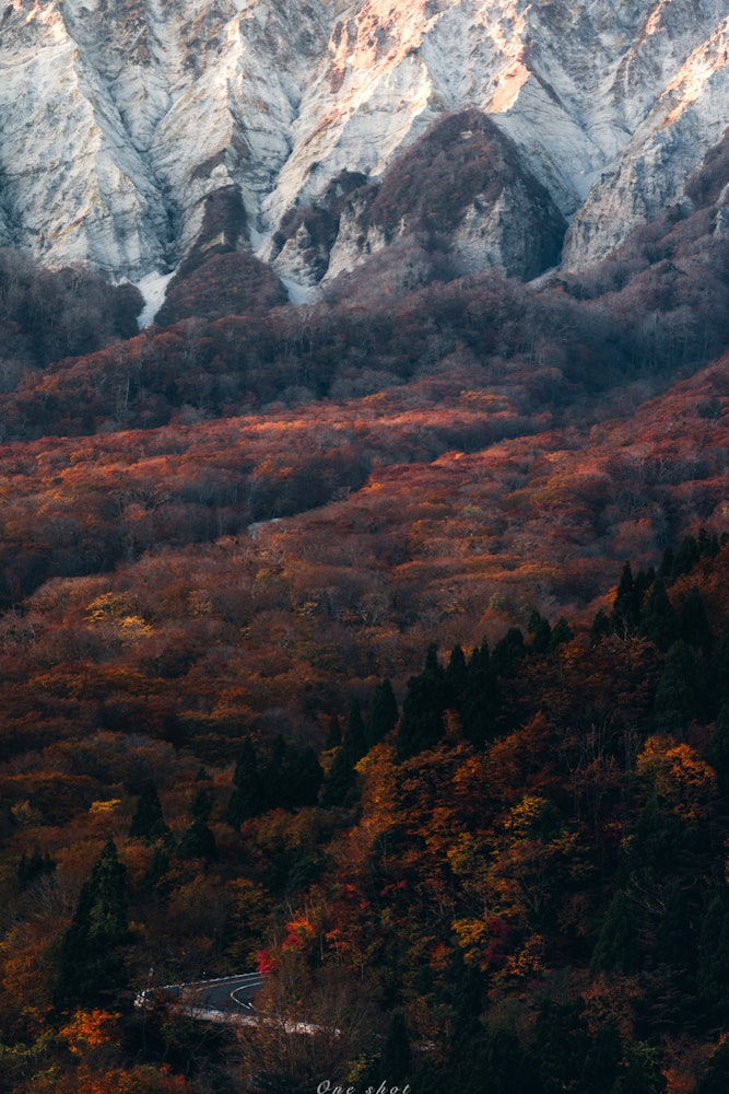 [相片1]鳥取之名峰 大山秋天的嚴肅地點 鳥取鏡掛峠夕陽照耀的火紅秋葉非常美麗。