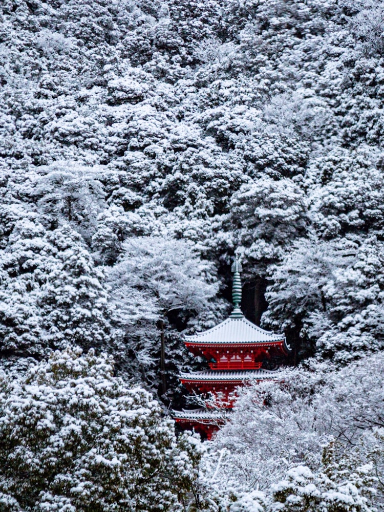 [Image1]I photographed the three-storied pagoda and snowy landscape at the foot of Mt. Kinka, which represen