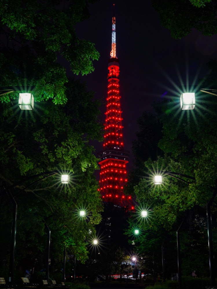 [이미지1]이 사진은 도쿄 타워가 아름답게 보이는 곳에서 찍은 것입니다 🗼.방금 한정판 색상을 발견했습니다!사진 장비소니 α7III편집 소프트웨어라이트룸