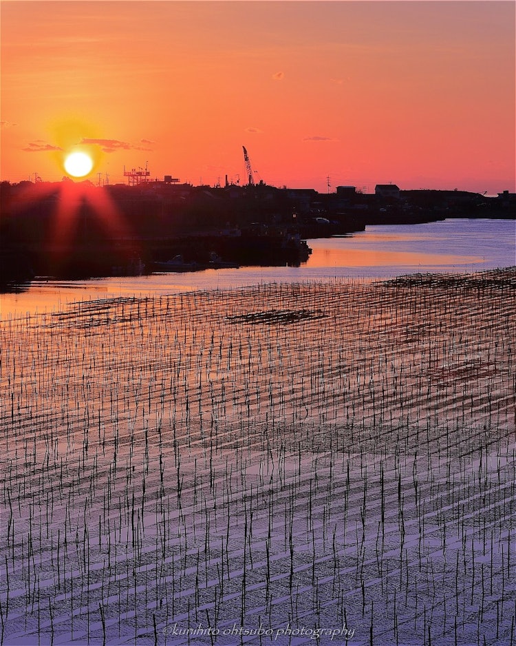 [相片1]「四万十的晨曦」位置 ： 高知县四万十市＊~四万十的日出~高知县的四万十川是著名的日本最后一条清澈的溪流。 青沙海藻只在河口种植，那里营养丰富的四万十川的水和海水混合在高知丰富的山脉周围。 在四万十美