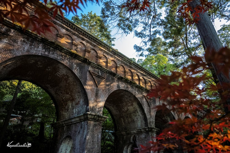 [Image1]I'm going to post a photo of Kyoto Nanzenji Temple Suirokaku Aqueduct today.The collaboration of gre