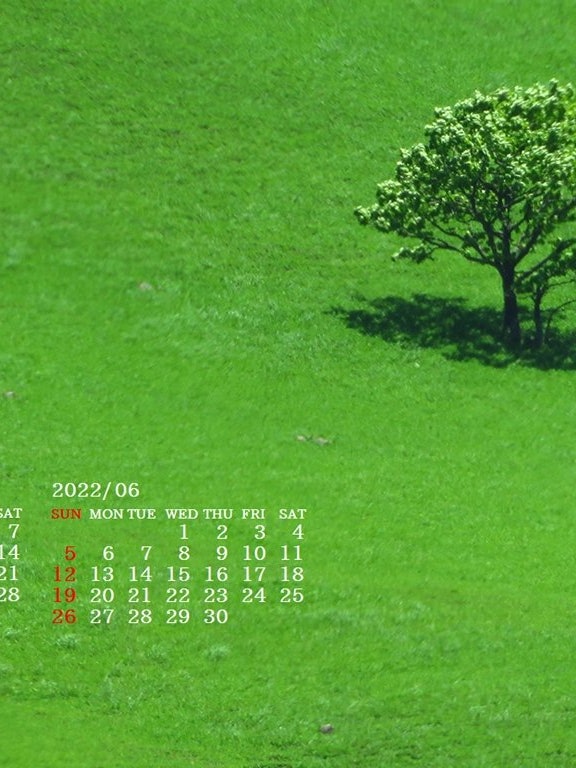 [Image1]I enjoy taking photos on my annual calendar.