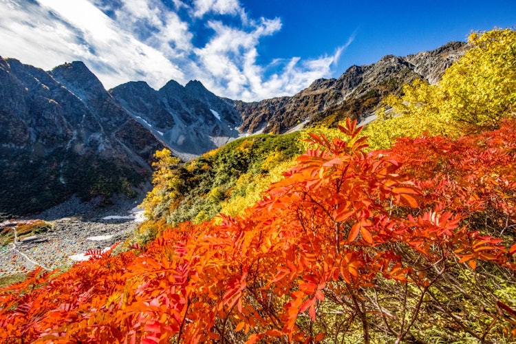 [Image1]It is the autumn leaves of the Karasawa curl of the Hotaka mountain range in Nagano Prefecture. It i