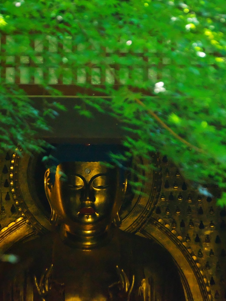 [Image1]Summer Buddha Buddha in the midst of deep greenery (Kushinbutsu, Setagaya-ku)