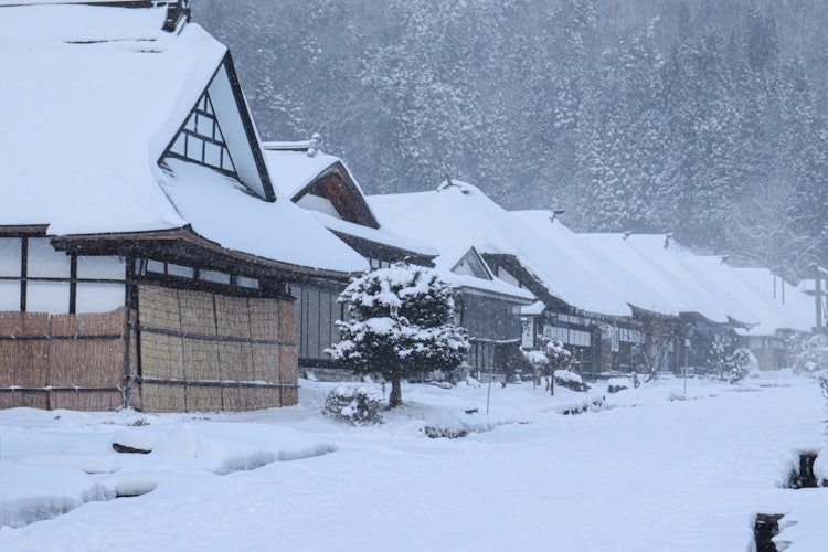 [画像1]福島県にある大内宿の写真です。昔ながらの家屋に積もった雪が綺麗で感動しました。