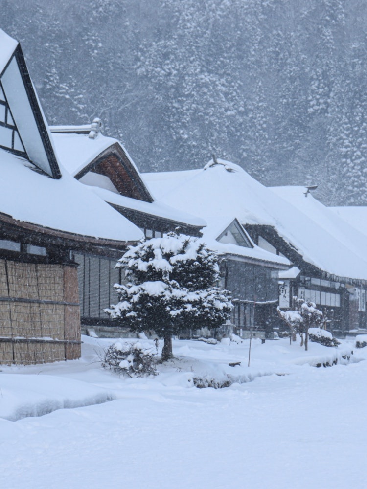 [画像1]福島県にある大内宿の写真です。昔ながらの家屋に積もった雪が綺麗で感動しました。