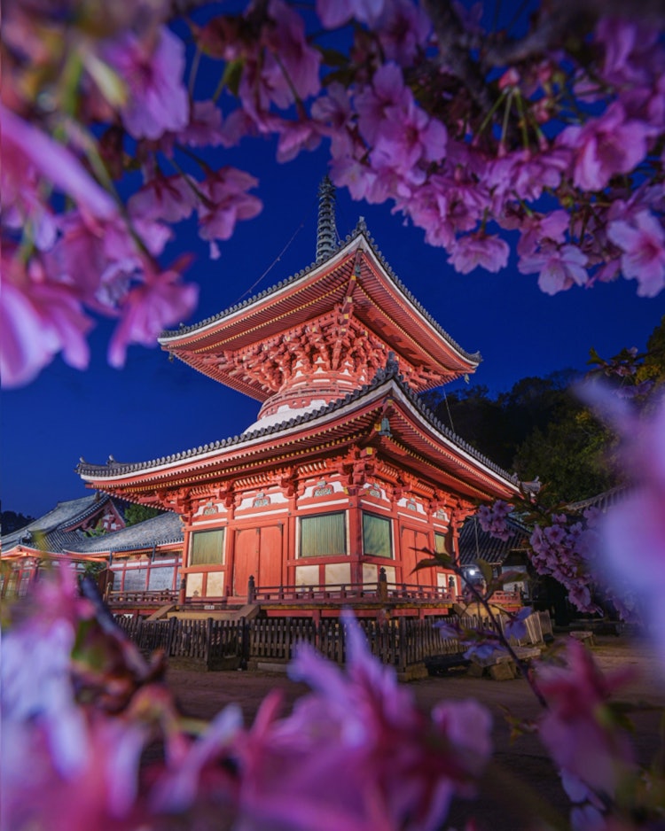 [Image1]Jodoji, Onomichi, Hiroshima(Recommended spots in Hiroshima)Jodoji Temple 👈 @ononavi_japan  One piece