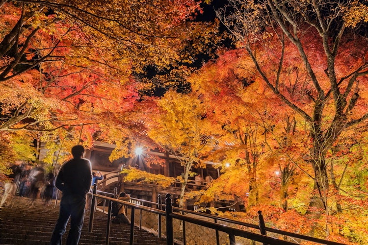 [画像1]兵庫県の播州清水寺の紅葉ライトアップです。