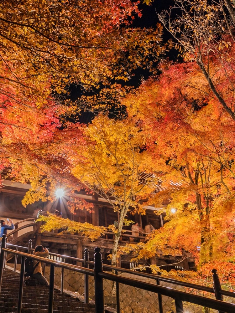 [相片1]这是兵库县万州清水寺的秋叶点亮。