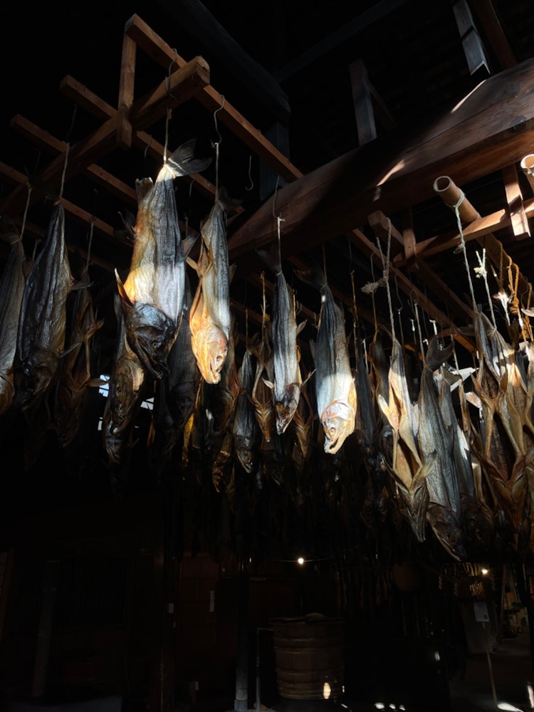 [相片1]我在新泻村上市的一家传统三文鱼店买了这个。深秋是鲑鱼的季节。阳光就像聚光灯照在城市的主角鲑鱼身上。想象为此付出的努力，我能感受到这座城市对鲑鱼的自豪和热爱。酒店的餐厅供应传统的三文鱼菜肴。它叫千年泽菊