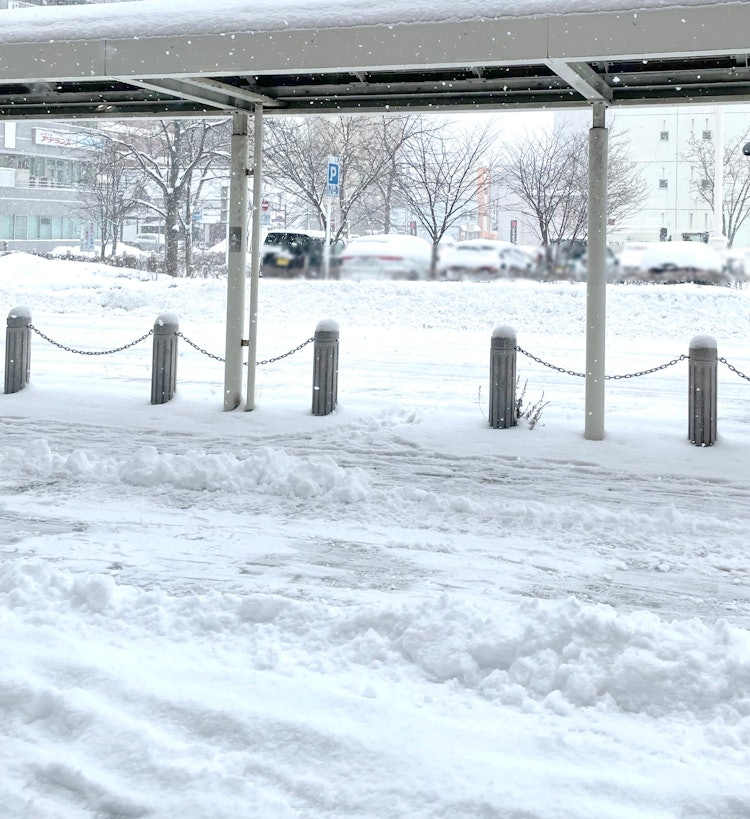 [画像1]⛄久しぶりの積雪です⛄今朝は久しぶりに雪が降りました！ ⛄最近の暖気で、昨日までは車道も歩道もほぼ乾いていたのですが…お越しの際は、お気をつけていらしてください！ 😖