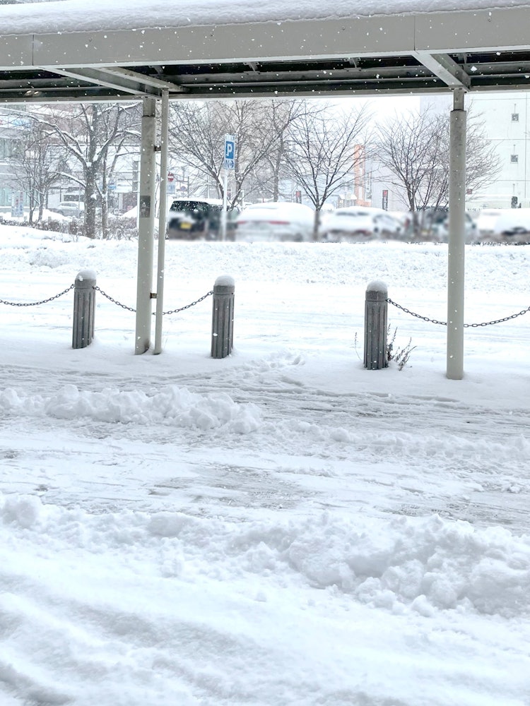 [相片1]⛄ ⛄ 已经很久没有下雪了今天早上很久以来第一次下雪了！ ⛄由于最近天气温暖，直到昨天，道路和人行道几乎都是干燥的......来的时候请小心！ 😖