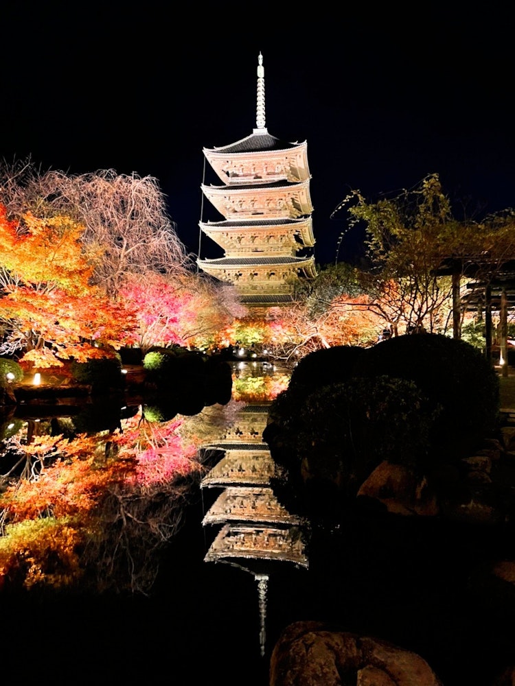 [相片1]東寺 / 京都 東寺 / 京都我去年12月訪問了這裡。美麗的東寺被照亮了，非常😍😍漂亮。我去年12月訪問了這裡。甚至只是美麗的東寺也被照亮了，非常漂亮😍😍。