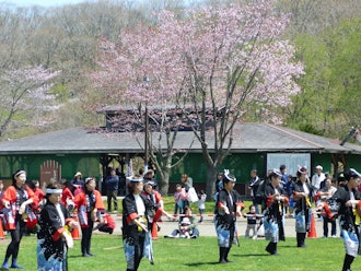 [相片1]🌸 這是一個溫馨的祭典，您可以感受到春天的到來和櫻花的盛開日期：2024 年 5 月 5 日星期日 下雨時取消　地點名稱：Midorigaoka Park Kintaro's Pond area　　　