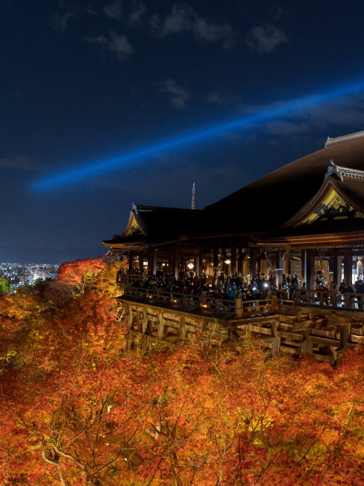 [相片1]這張照片拍攝於京都清水寺，正值紅葉季節。清水寺也以櫻花季節而聞名，在紅葉季節，燈飾特別擁擠。