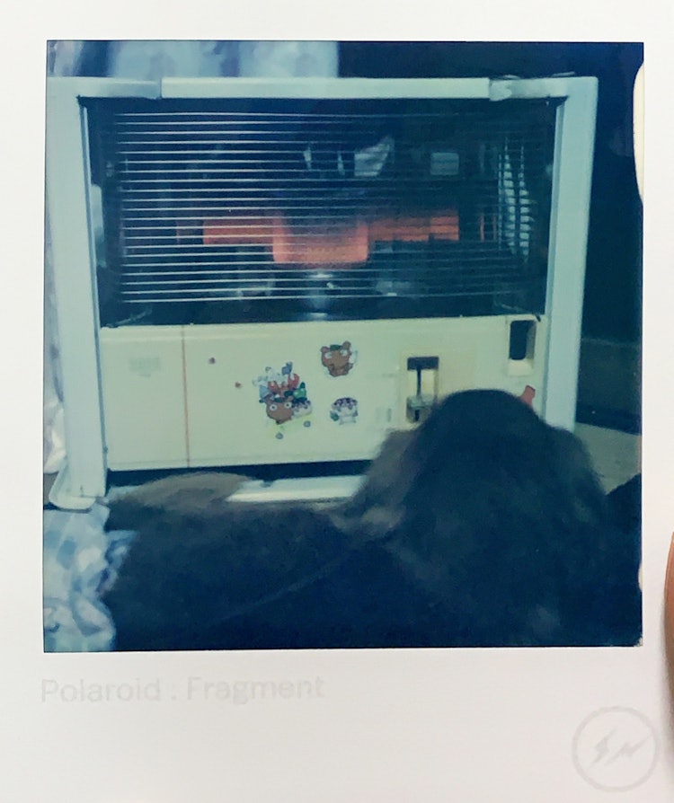 [相片1]我用宝丽来相机拍了一张父母的狗在炉子旁取暖的照片。 它似乎很冷，冬天它总是在炉子前或火焰中。 我喜欢炉子，我在城市里不经常看到，有一种家的感觉。