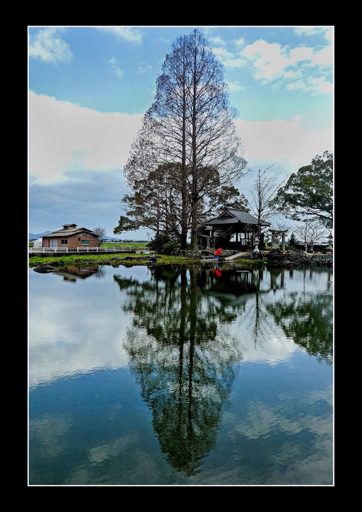 [相片1]佐賀縣白石町的池塘倒映在水杉中，對稱性閃耀。