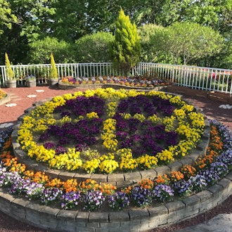 [Image1]I think these are the last of the photos that I have of Nagatoro. A flower bed shaped like a peace s