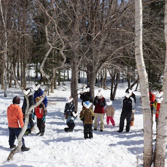 [Image2][How to collect sap and make chiffon cake]It was held as a winter nature observation eventShirakaba 