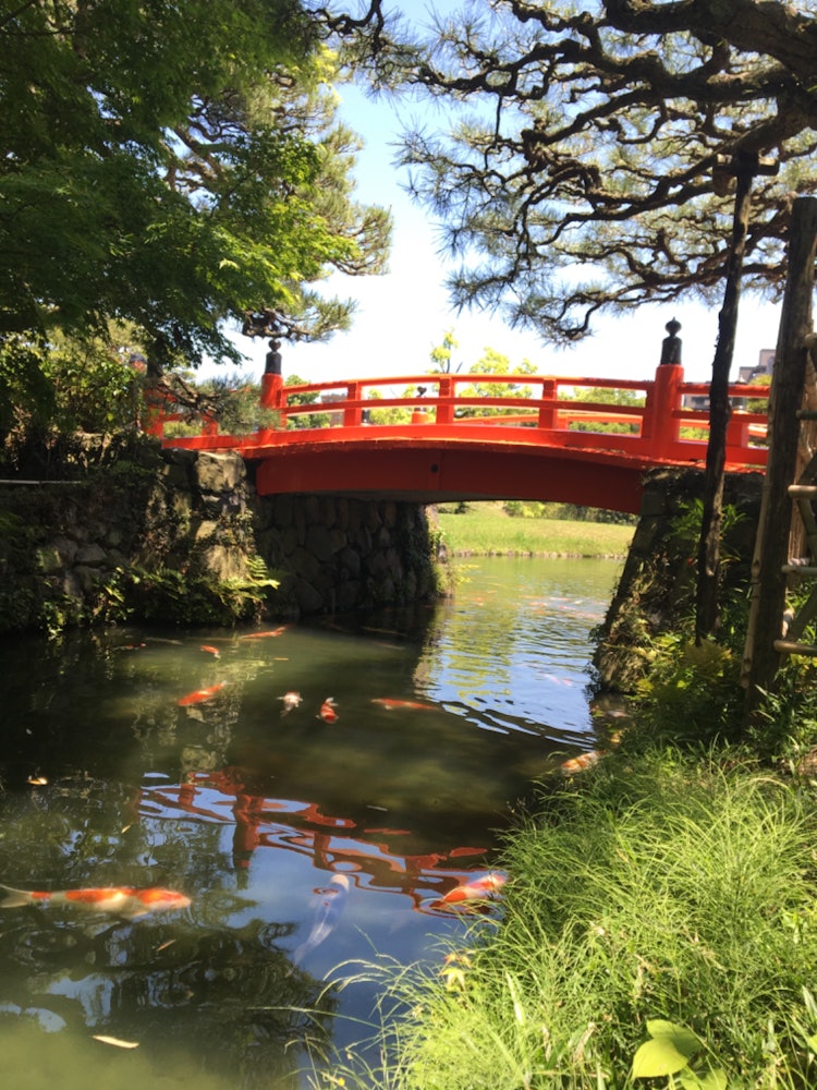 [相片1]我们去了香川县高松市的栗林公园。 在广阔的土地上有一个日本庭园，非常漂亮。