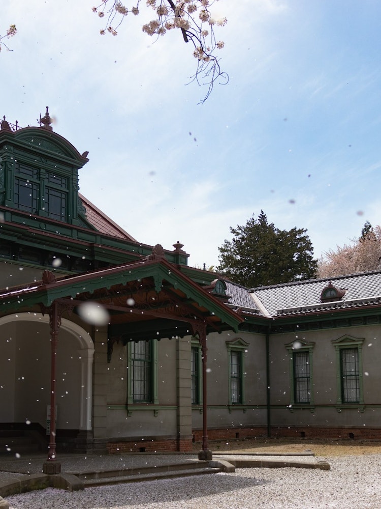 [Image1]Cherry blossoms dancing in historical buildings. The spring of the former Hirosaki Kaikosha is a mov