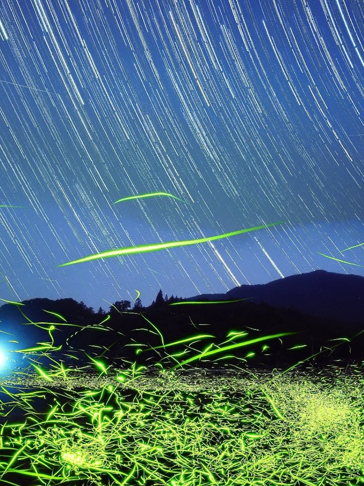 [Image1]Star Trails and Fireflies
