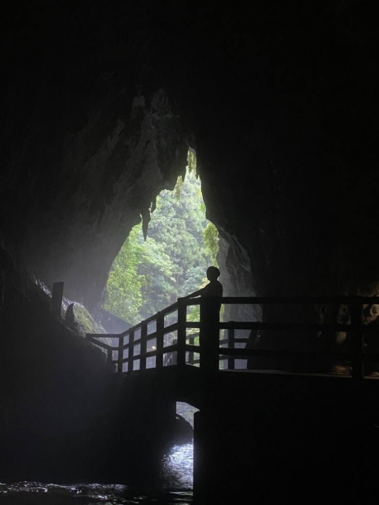 [相片1]📍 秋吉洞， 宫， 山口※可以感受大自然的西日本最大的石灰岩洞穴⊿ 地理位置日本最大的石灰岩洞穴之一“秋吉堂”在秋吉台国定公园的南麓，地下100米处开放。 穿过一片雪松树林，凉爽的空气接触到皮肤，您将