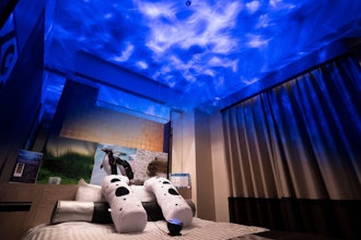 [Image1]☆AOAO SAPPORO Concept Room☆The second collaboration project with the popular urban aquarium 