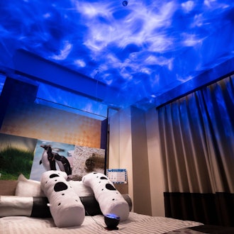 [Image1]☆AOAO SAPPORO Concept Room☆The second collaboration project with the popular urban aquarium 