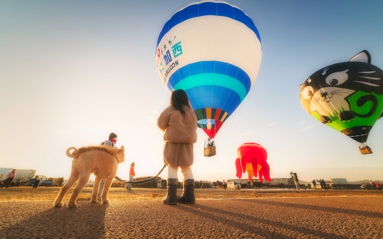 [相片1]快樂氣球聖誕活動氣球在葛西市，我第一次帶著我的女兒和狗在氣球登機體驗中參觀天空的景色很棒。
